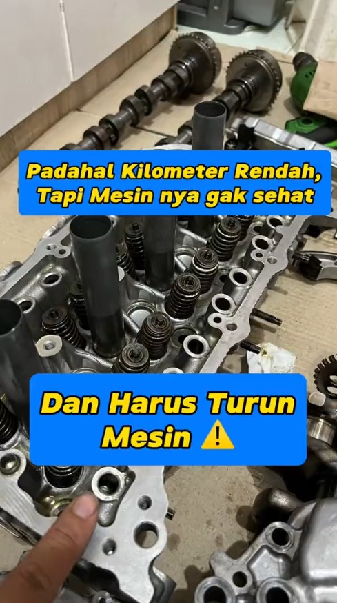 WhatsApp Image 2025 08 29 at 14 11 27 eab910bd