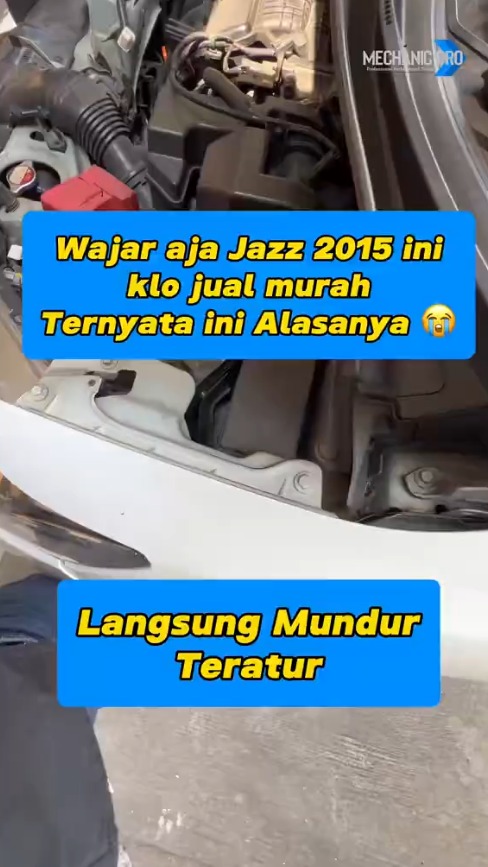 WhatsApp Image 2025 08 29 at 14 17 07 e97a69b0